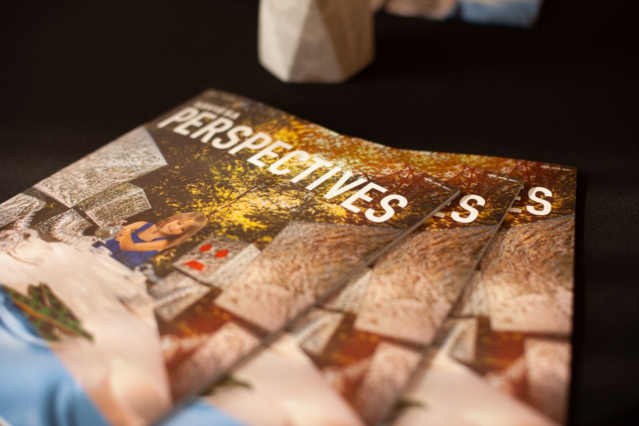 Launch of Saviesa "Perspectives" publication